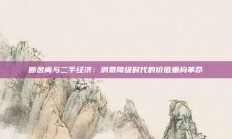 断舍离与二手经济：消费降级时代的价值重构革命