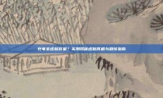 充电宝虚标容量？实测揭秘虚标真相与避坑指南