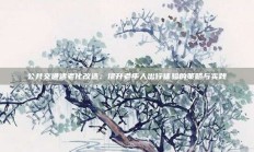 公共交通适老化改造：提升老年人出行体验的策略与实践