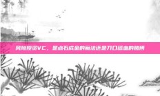 风险投资VC，是点石成金的魔法还是刀口舔血的赌博