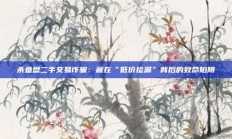 杀鱼盘二手交易诈骗：藏在“低价捡漏”背后的致命陷阱