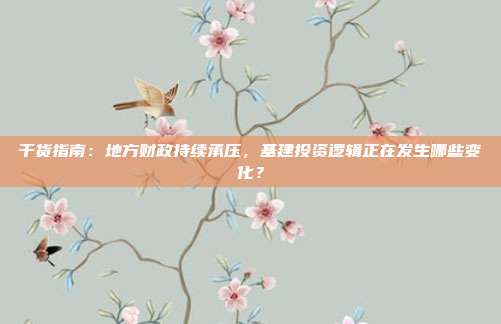 干货指南：地方财政持续承压，基建投资逻辑正在发生哪些变化？