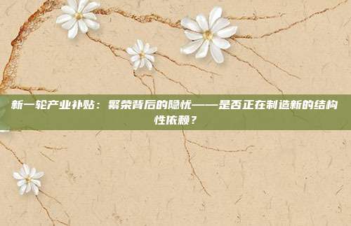 新一轮产业补贴：繁荣背后的隐忧——是否正在制造新的结构性依赖？