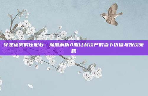 穿越迷雾的压舱石:深度解析A股红利资产的当下价值与投资策略