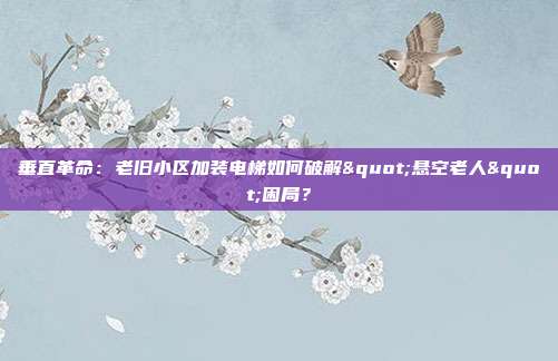 垂直革命：老旧小区加装电梯如何破解"悬空老人"困局？