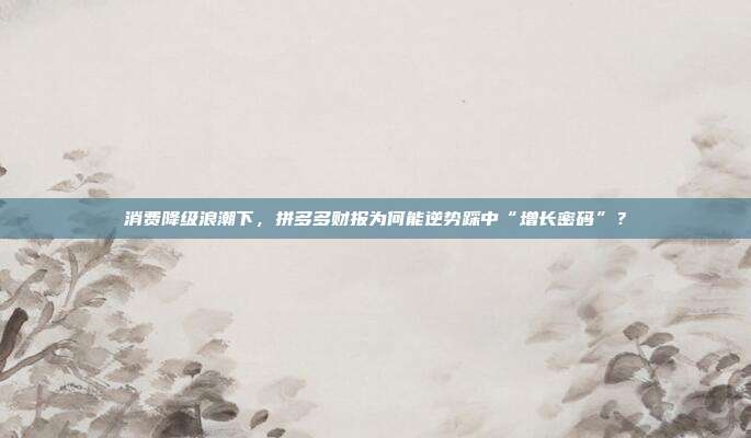 消费降级浪潮下，拼多多财报为何能逆势踩中“增长密码”？