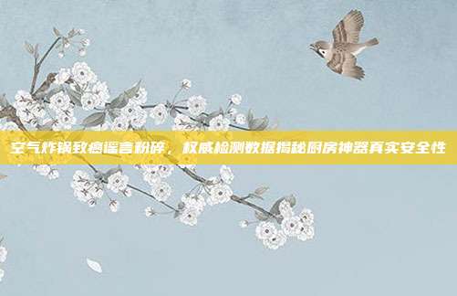 空气炸锅致癌谣言粉碎，权威检测数据揭秘厨房神器真实安全性