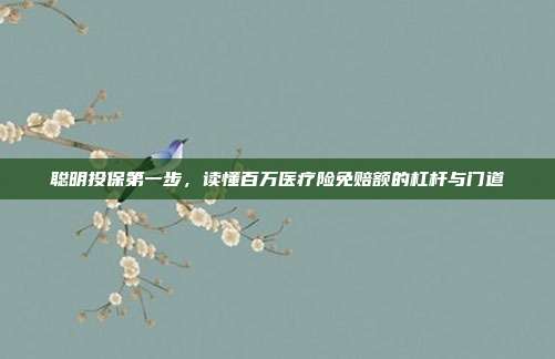 聪明投保第一步,读懂百万医疗险免赔额的杠杆与门道