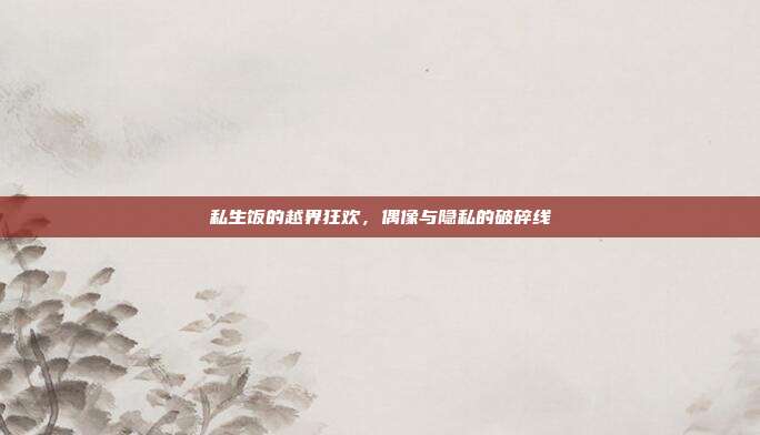 私生饭的越界狂欢，偶像与隐私的破碎线