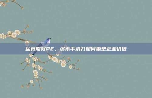 私募股权PE，资本手术刀如何重塑企业价值